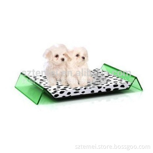 Elegant Design Square Acrylic Dog Bed